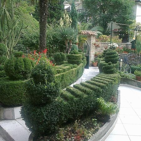 Apartment City Garden Котор Номер фото