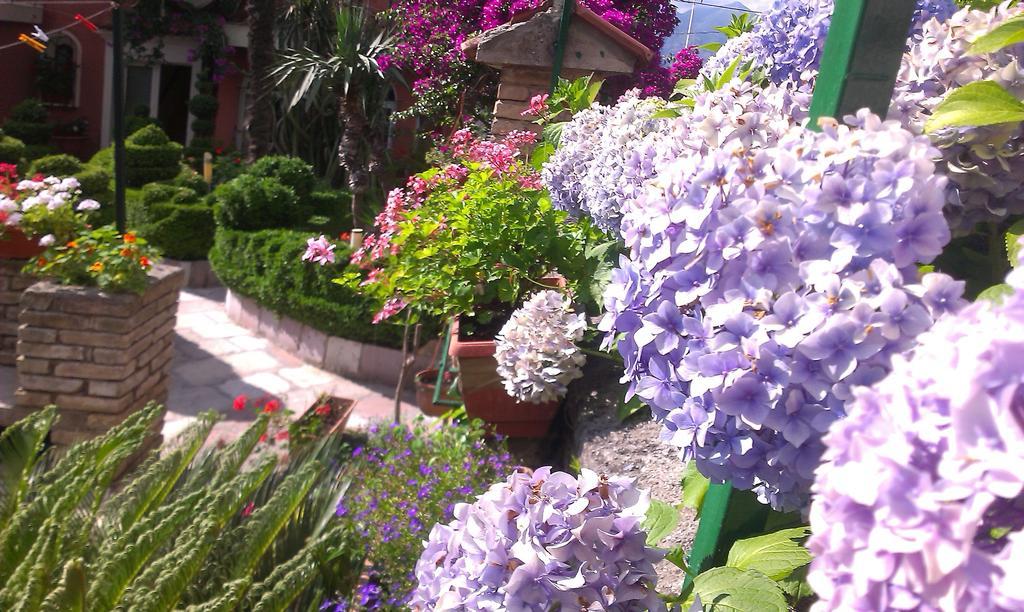 Apartment City Garden Котор Номер фото