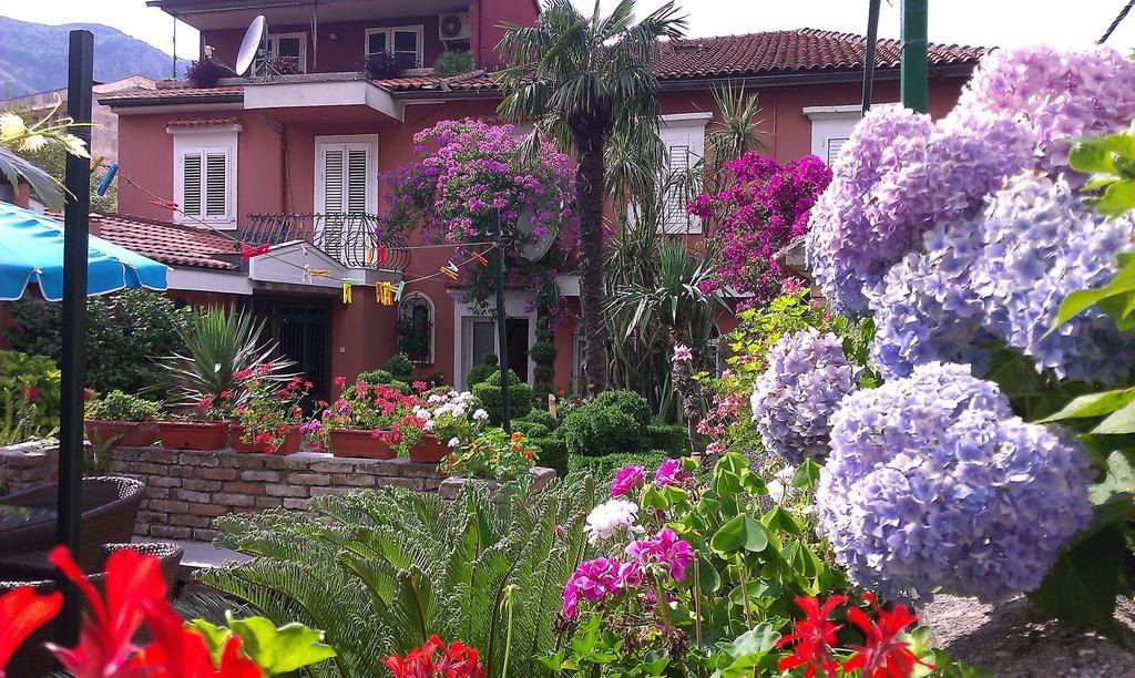 Apartment City Garden Котор Номер фото